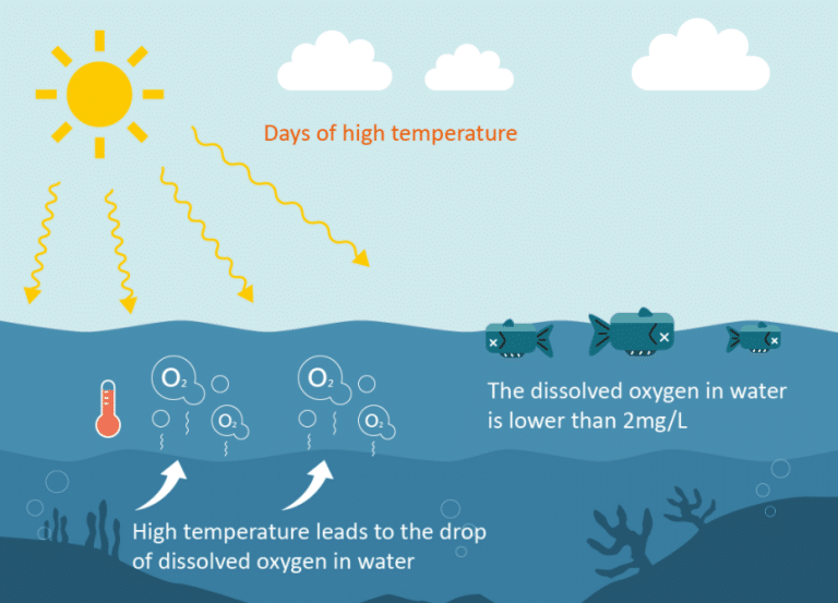 what-is-dissolved-oxygen-apure