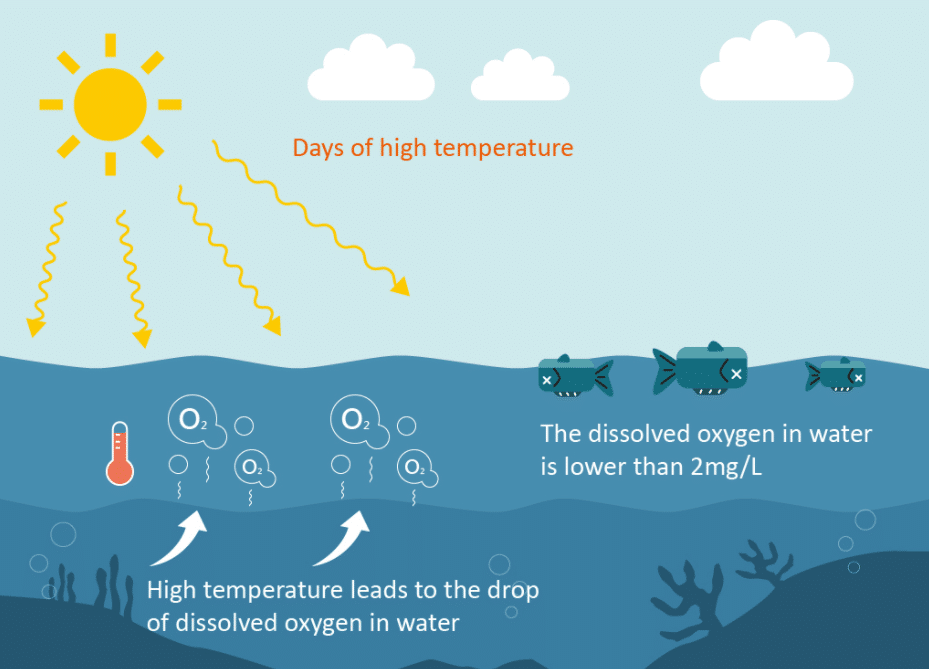 Effects of temperature and dissolved oxygen on living organisms