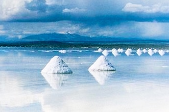 Salt marshes in South America