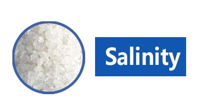 What is salinity?