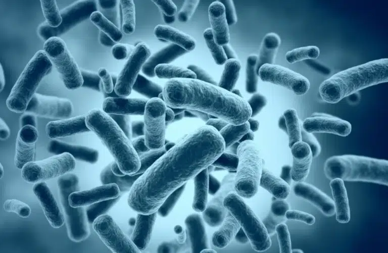 E.-coli-in-water-768x501.png.webp