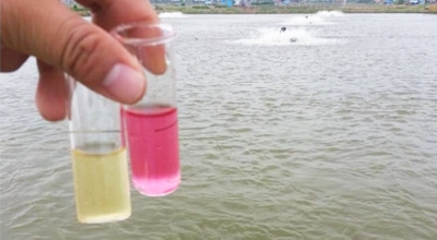 Nitrate in water quality