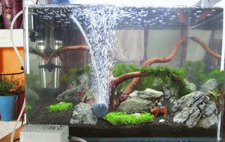 Oxygen supply store for fish tank