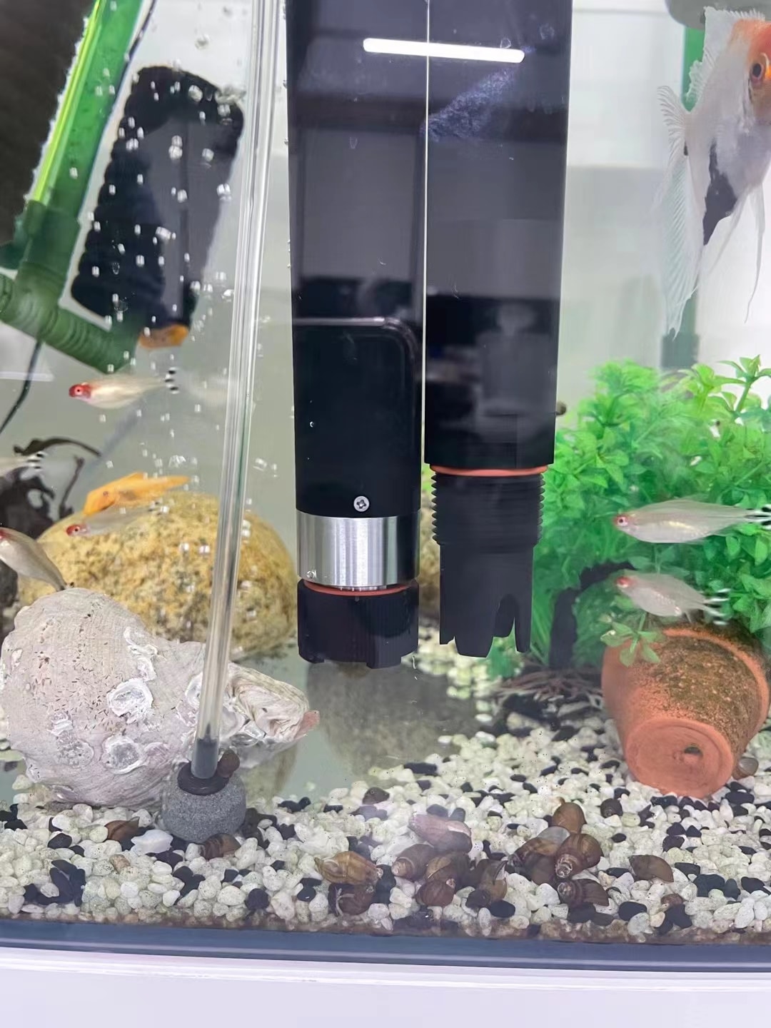 How to add oxygen to a fish tank? Apure