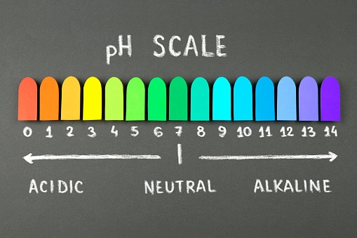 ph values for different types of beer