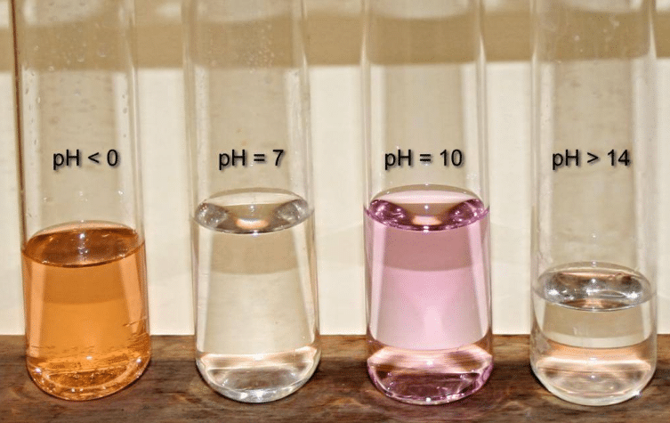 Concentrations of different fractions of alkalinity presented in the test tube