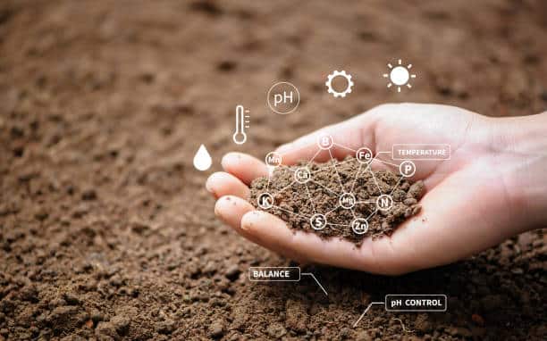 Parameters to be monitored in environmental monitoring of soil