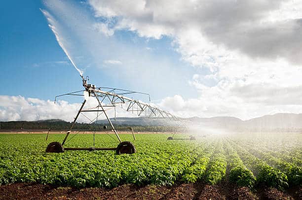 What is agricultural uses of water