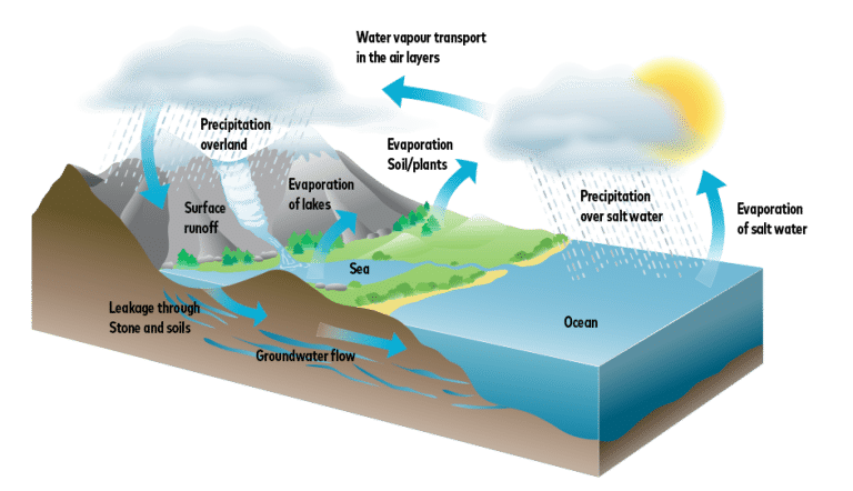 Why Is The Water Cycle Important? - Apure