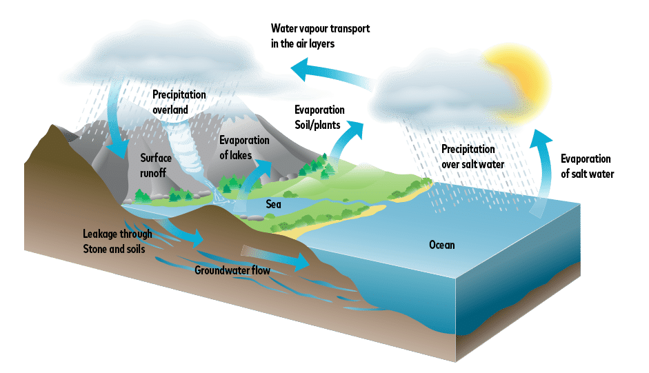 Water cycle in natural processes