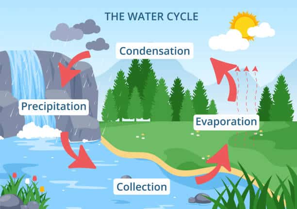 The role of clean water in the Earth's water cycle