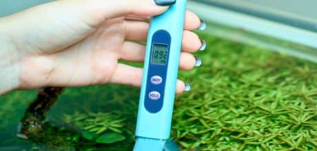 Total Dissolved Solids In Water