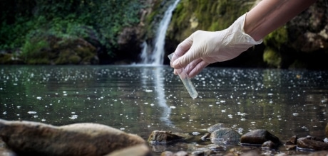 Air and Water Quality