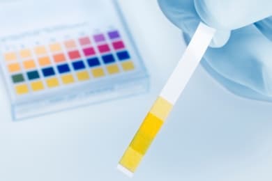 Common pH ranges in the wine making process