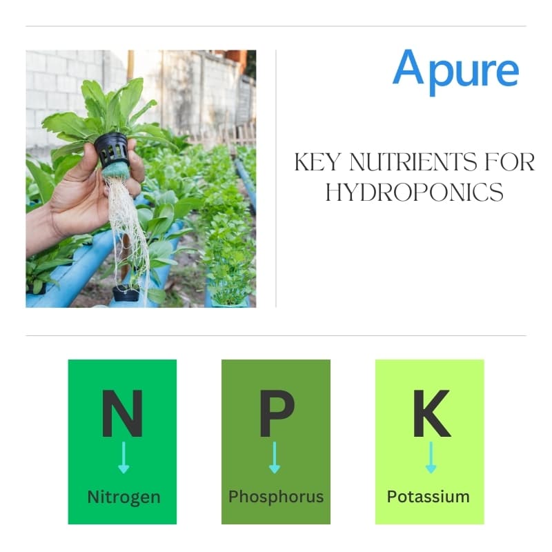 Key Nutrients for Hydroponics