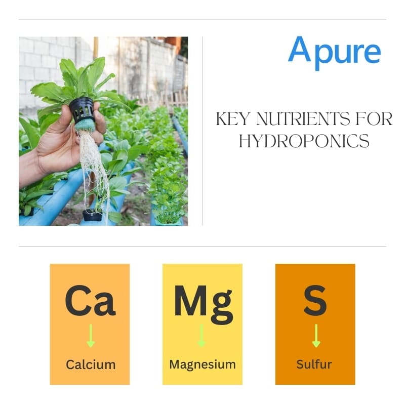 hydroponic secondary nutrients