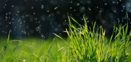 Starting point of groundwater recharge and ecological water quality protection of the