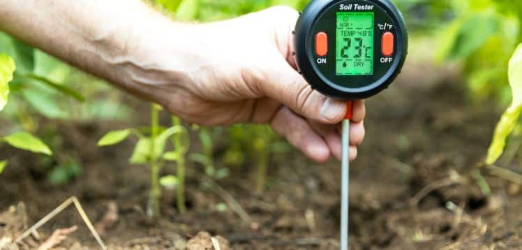 Using a Digital Soil Tester to Measure Temperature and Moisture Levels Directly in the Garden Soil”